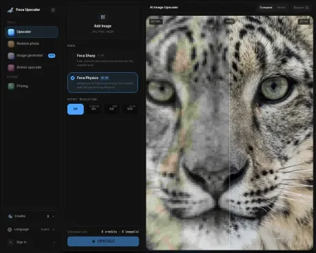 Foca Upscaler screenshot