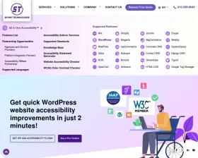 All in One Accessibility screenshot