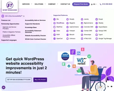 All in One Accessibility screenshot